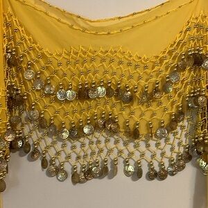 Renaissance belt/wrap